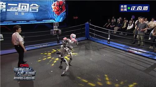 중국 격투기 근황