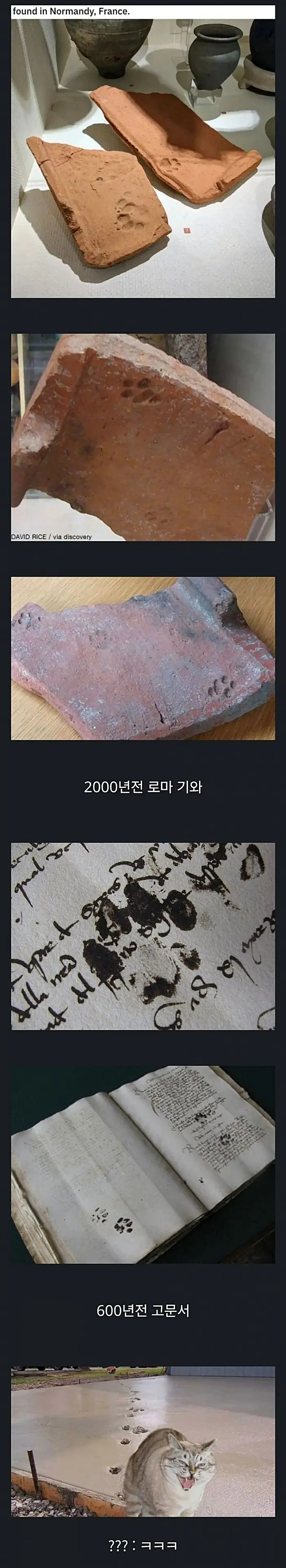 수천년간 똑같은 짓을 하고 있는 동물