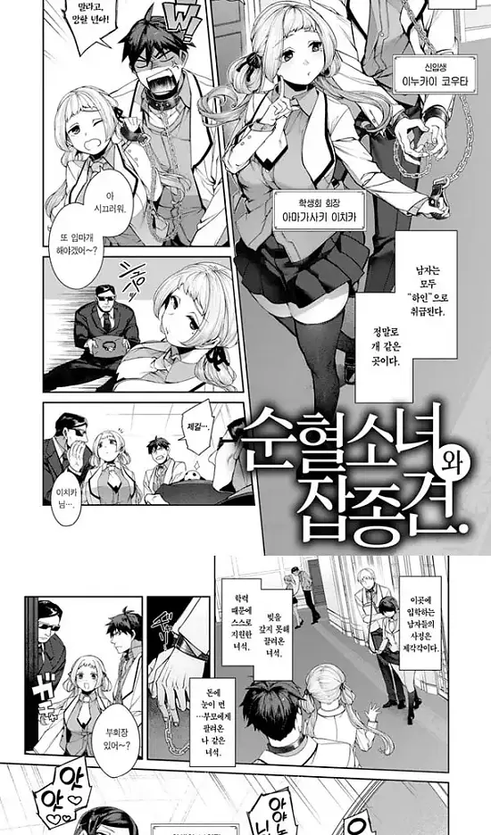 순혈소녀와 잡종견