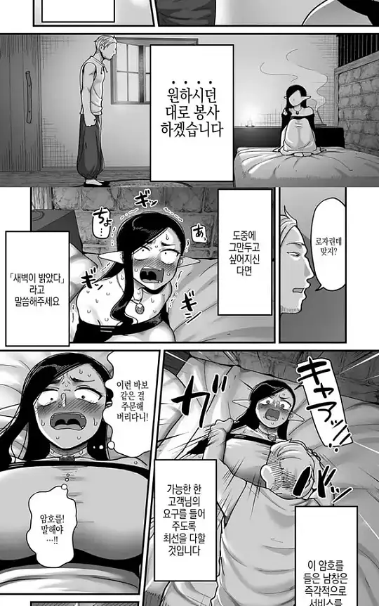고위한 엘프가 천한인간 남창과 어울리는밤 - 1